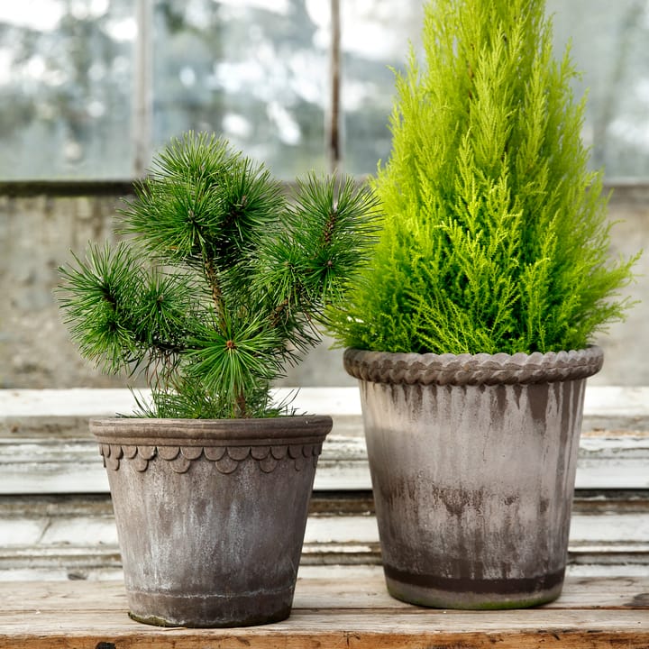 Maceta Emilia 16 cm, gris Bergs Potter