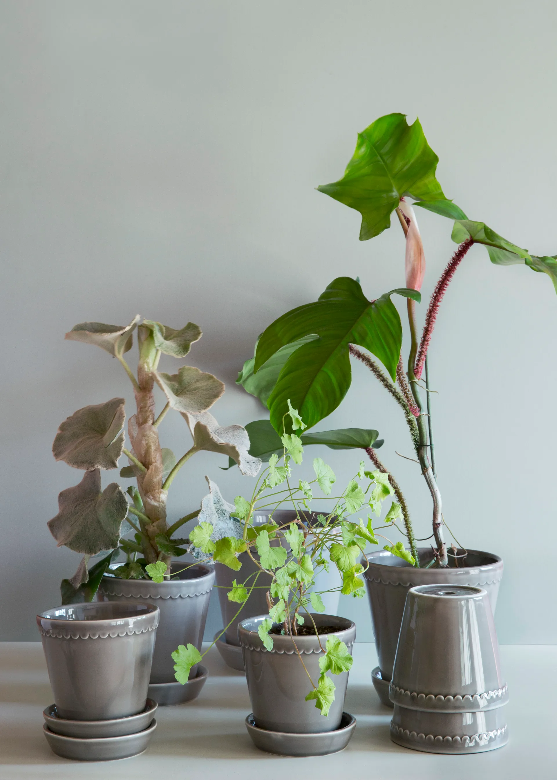 Maceta esmaltada Helena Ø18 cm, Pearl grey Bergs Potter