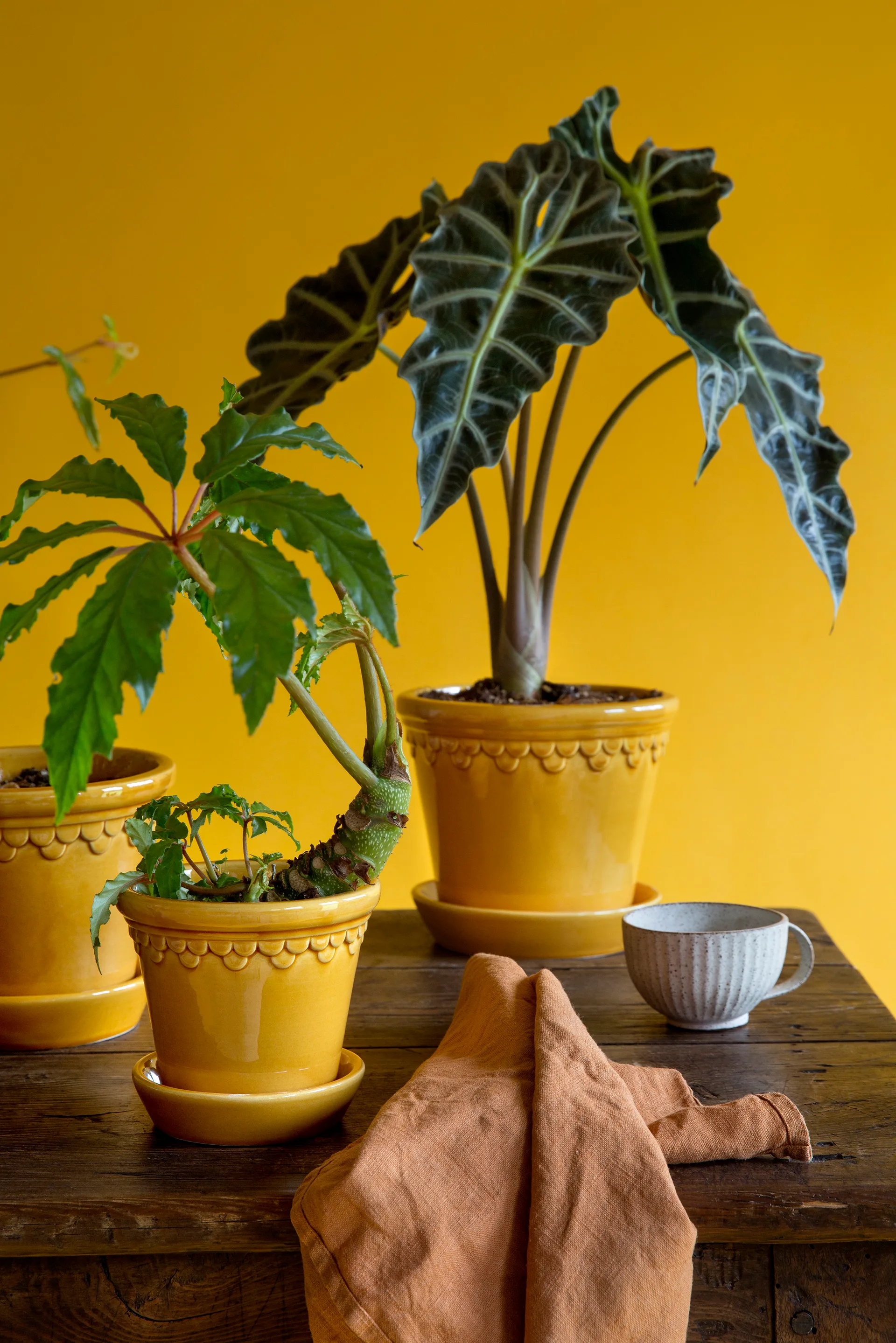 Maceta esmaltada Københavner Ø21 cm, amarillo Bergs Potter