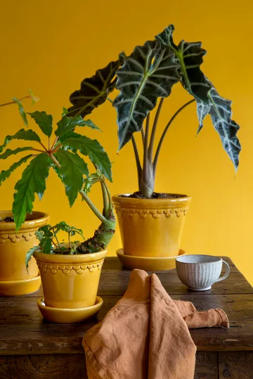 Maceta esmaltada Københavner - Amarillo, Ø18 cm - Bergs Potter