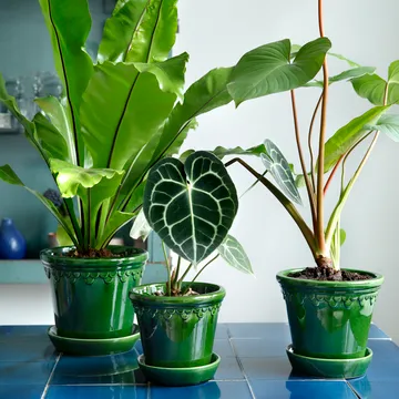 Maceta esmaltada Københavner - Verde, Ø18 cm - Bergs Potter