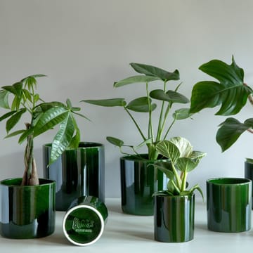 Maceta esmaltada Romeo Ø19 cm - verde - Bergs Potter