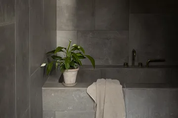 Maceta Fleur con plato, 2 piezas - Gris, Ø14 cm - Bergs Potter