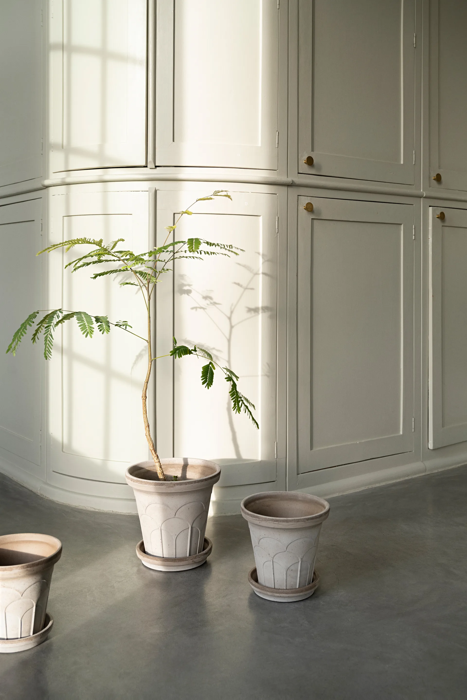 Maceta Fleur con plato, 2 piezas, Gris, Ø16 cm Bergs Potter