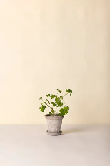 Maceta Fleur con plato, 2 piezas - Gris, Ø16 cm - Bergs Potter