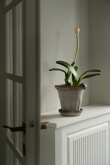 Maceta Fleur con plato, 2 piezas - Gris, Ø18 cm - Bergs Potter