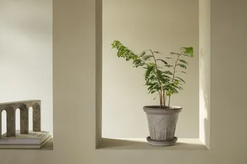 Maceta Fleur con plato, 2 piezas - Gris, Ø21 cm - Bergs Potter