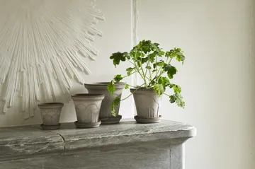 Maceta Fleur con plato, 2 piezas - Gris, Ø21 cm - Bergs Potter