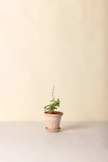 Maceta Fleur con plato, 2 piezas - Rosa, Ø14 cm - Bergs Potter