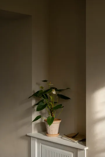 Maceta Fleur con plato, 2 piezas - Rosa, Ø16 cm - Bergs Potter