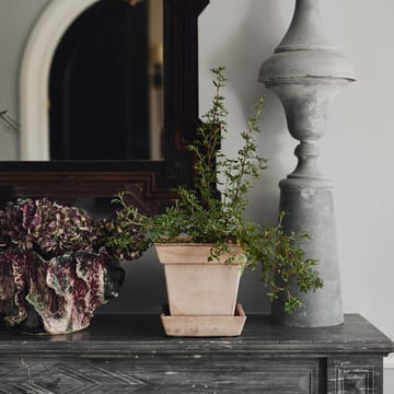 Maceta Gaia raw - Rosa, Ø21 cm - Bergs Potter