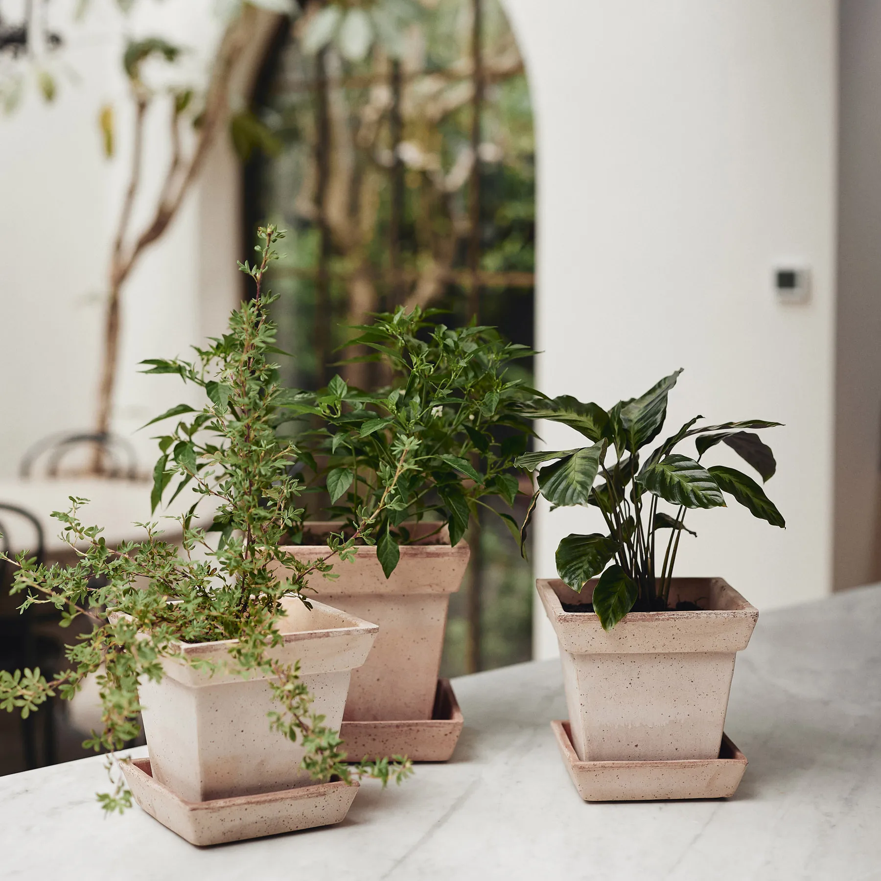 Maceta Gaia raw, Rosa, Ø25 cm Bergs Potter