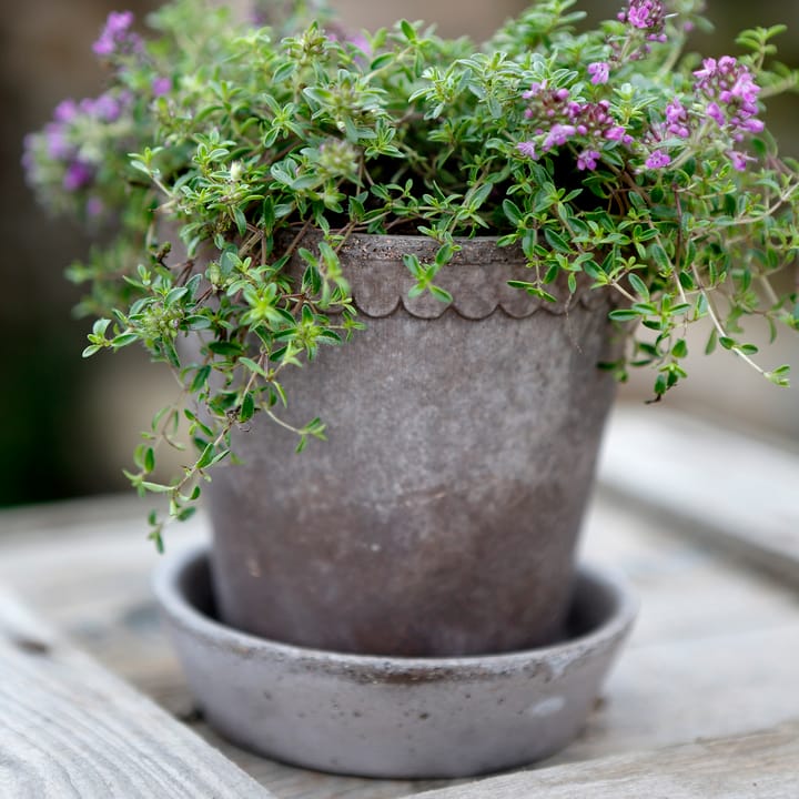 Maceta Helena Ø10 cm, gris Bergs Potter