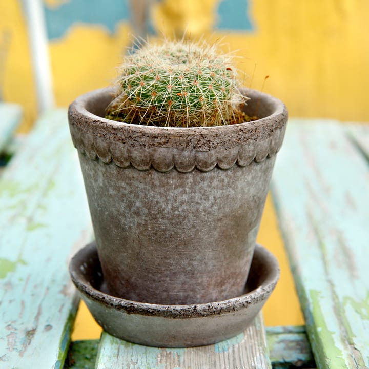 Maceta Helena Ø10 cm, gris Bergs Potter