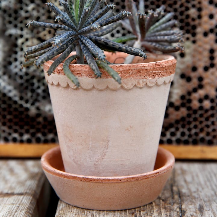 Maceta Helena Ø10 cm, Rosa Bergs Potter