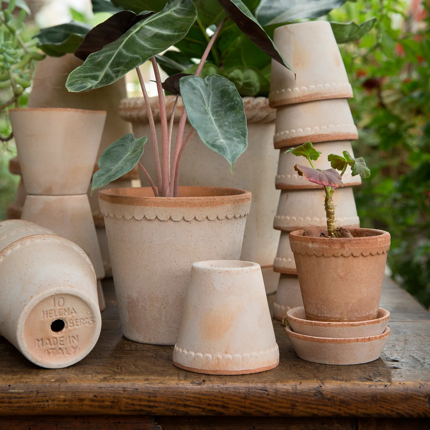 Maceta Helena Ø10 cm, Rosa Bergs Potter