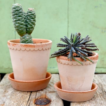 Maceta Helena Ø14 cm - Rosa - Bergs Potter
