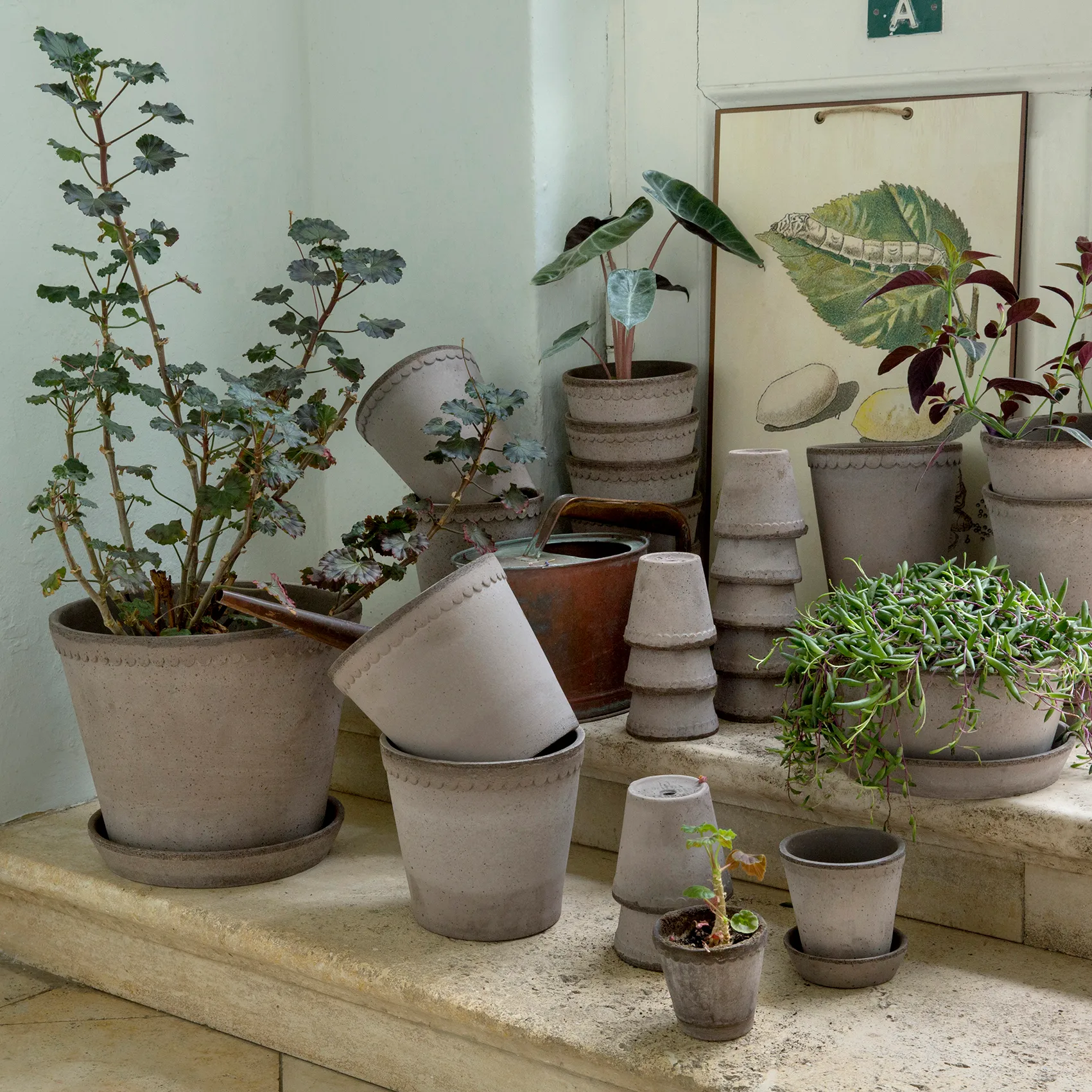 Maceta Helena Ø16 cm, gris Bergs Potter