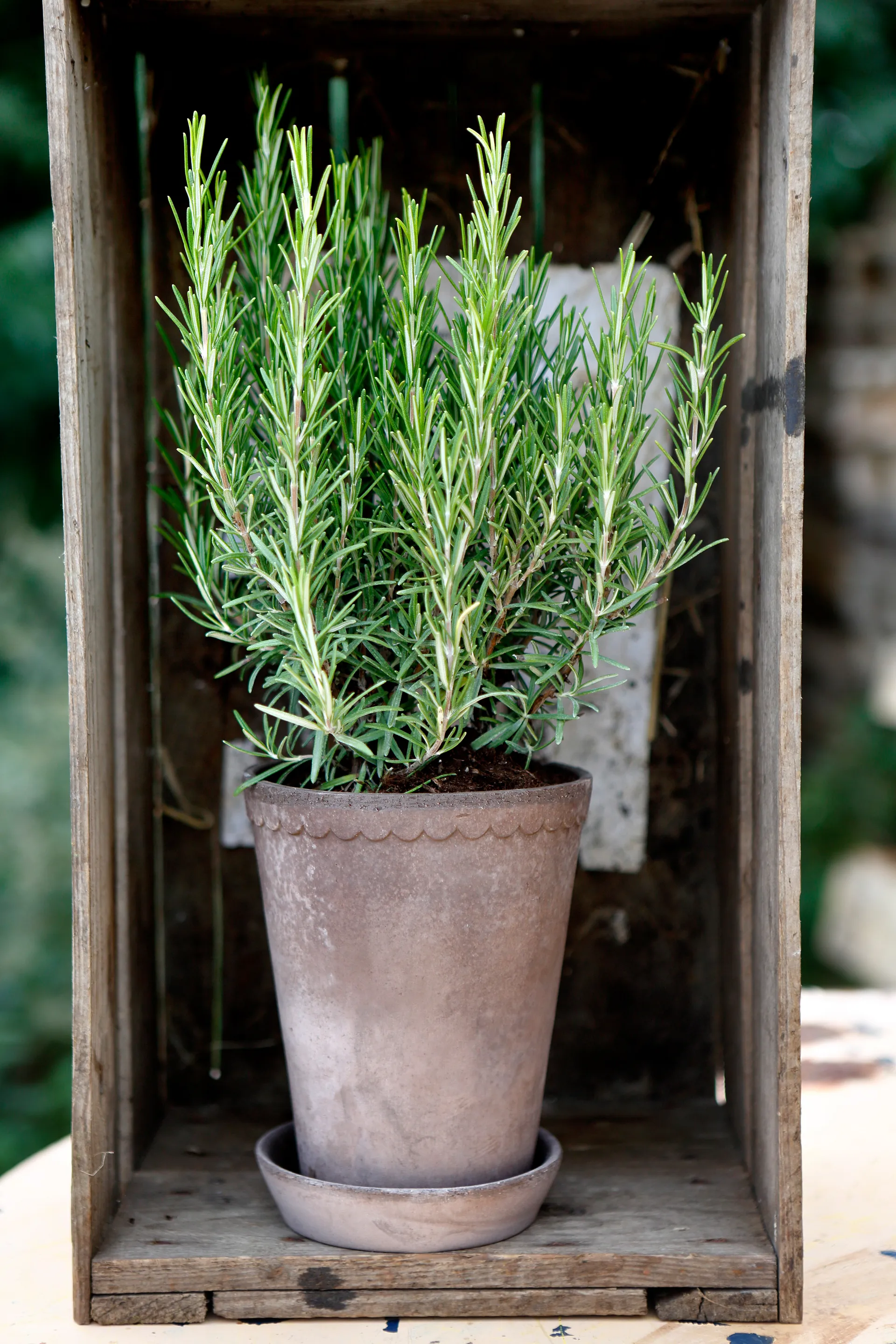 Maceta Helena alta Ø14 cm, gris Bergs Potter