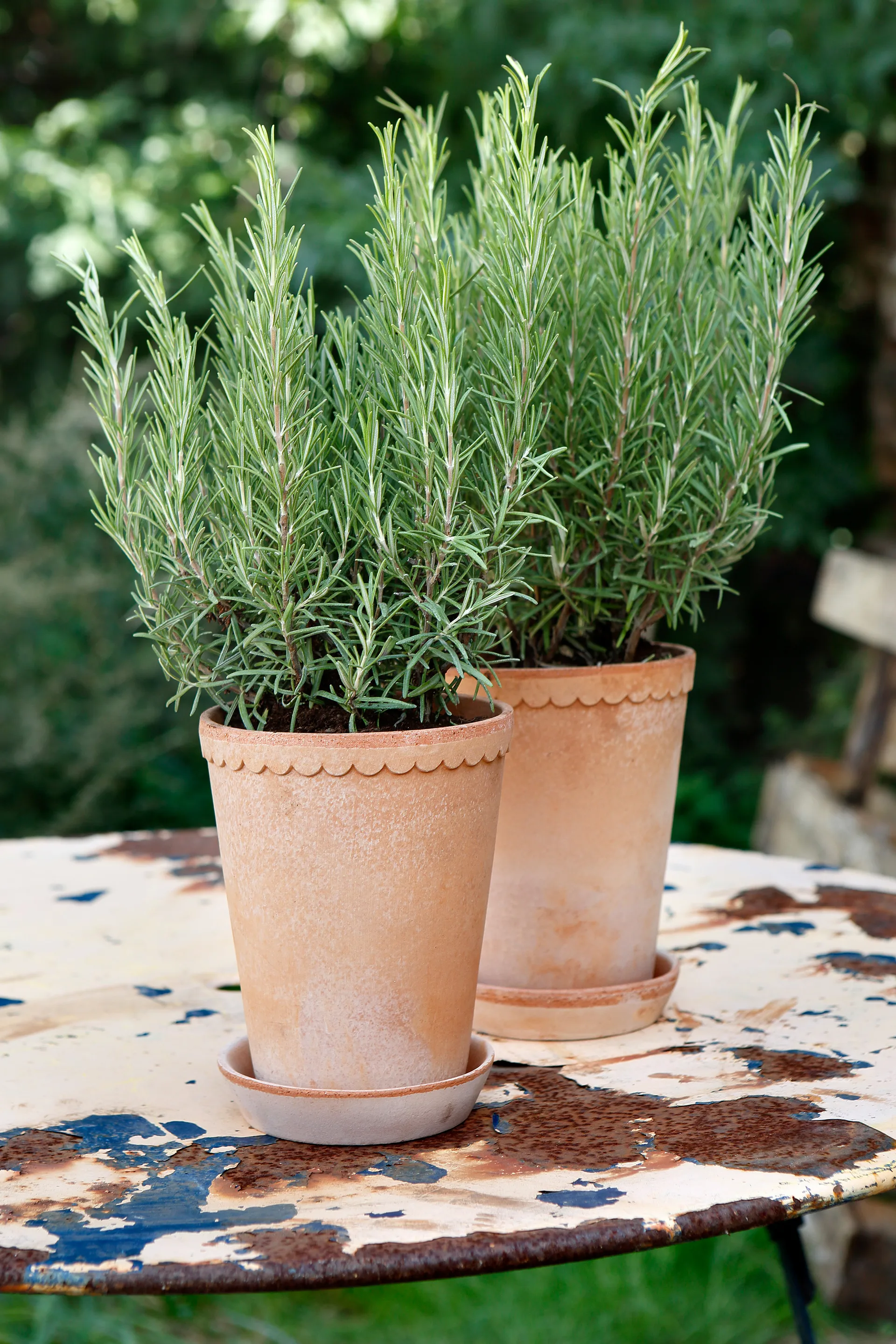 Maceta Helena alta Ø14 cm, Rosa Bergs Potter