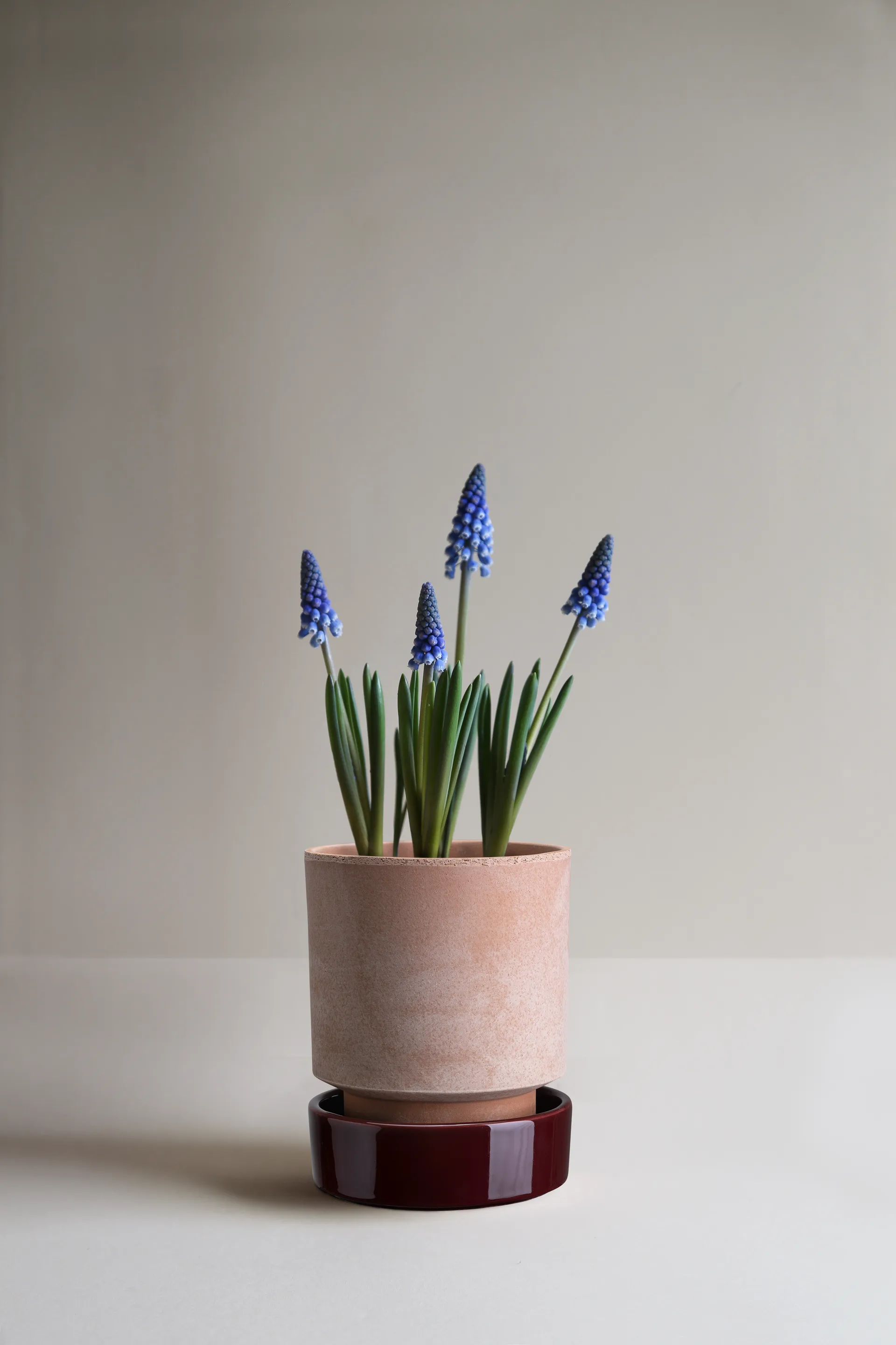 Maceta Hoff, Ø14 cm, Raw Rosa-Deep Burgundy Bergs Potter