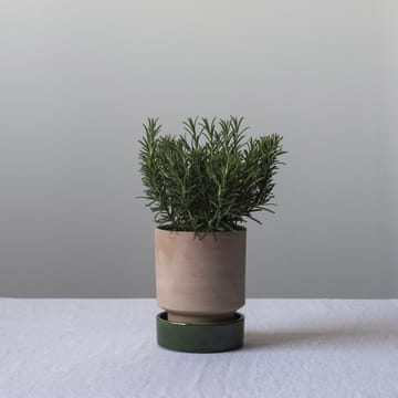 Maceta Hoff - Ø14 cm, Raw Rosa-Emerald Green - Bergs Potter