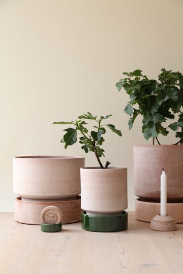 Maceta Hoff - Ø16 cm, Raw Rosa-Deep Burgundy - Bergs Potter