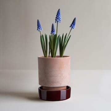 Maceta Hoff - Ø16 cm, Raw Rosa-Deep Burgundy - Bergs Potter