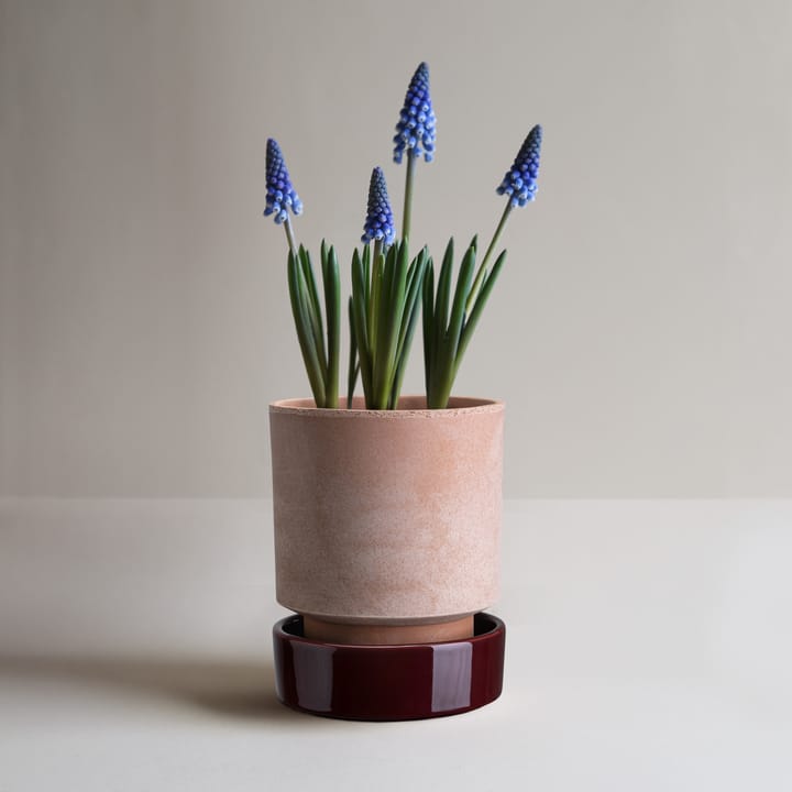 Maceta Hoff, Ø16 cm, Raw Rosa-Deep Burgundy Bergs Potter