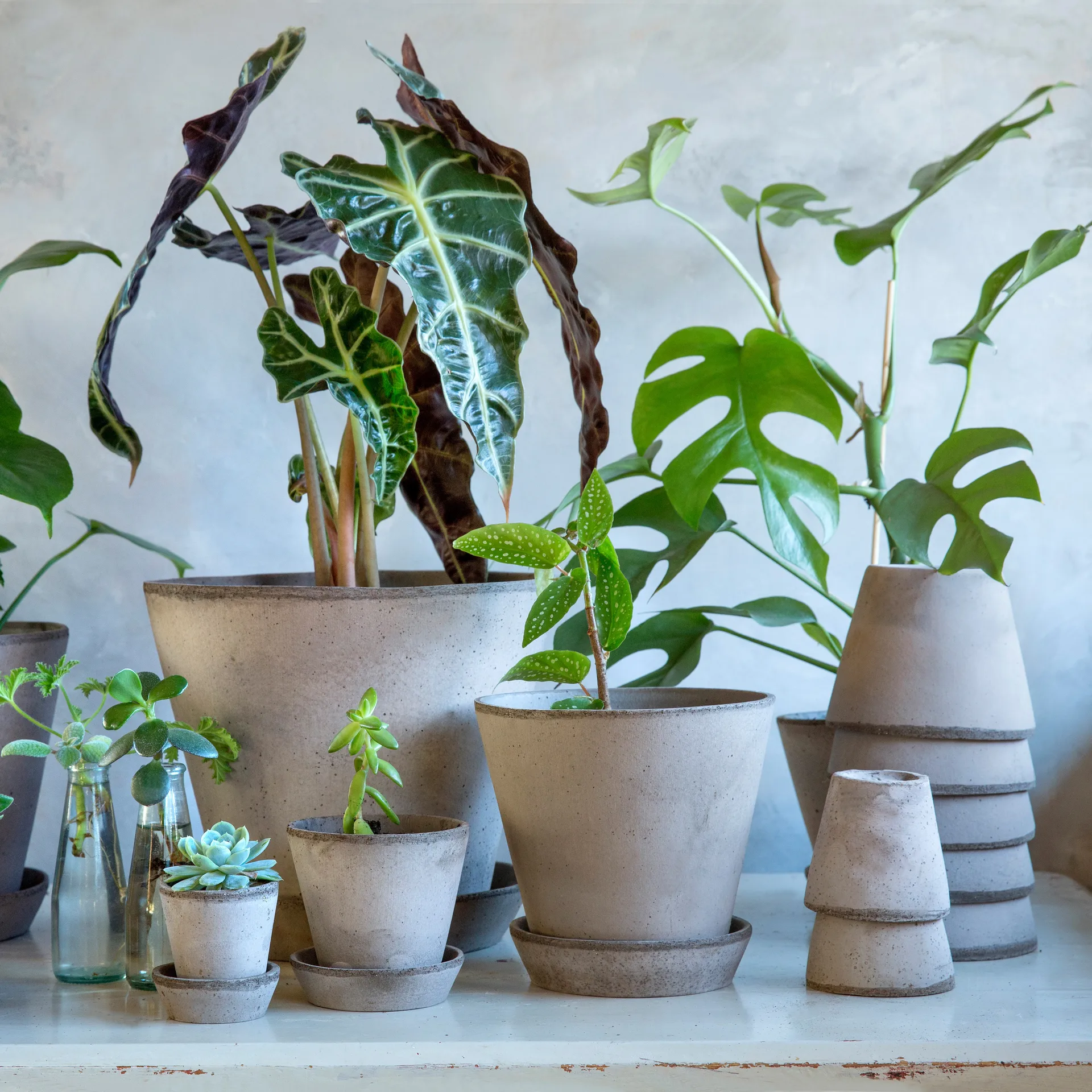 Maceta Julie Ø12 cm, gris Bergs Potter