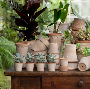 Maceta Københavner Ø10 cm - Rosa - Bergs Potter