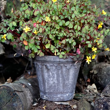 Maceta Københavner Ø16 cm - gris - Bergs Potter