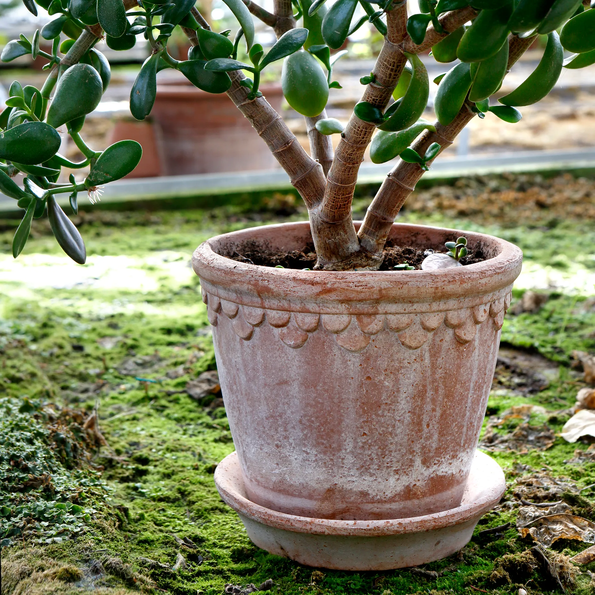 Maceta Københavner 21 cm, Rosa Bergs Potter