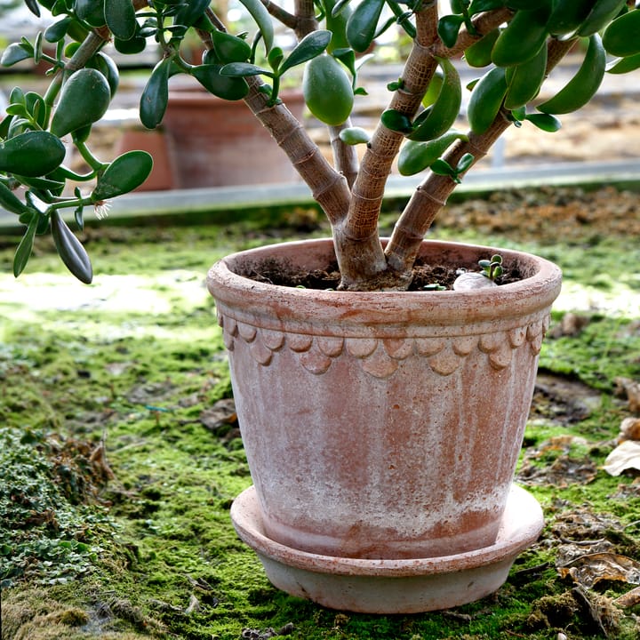 Maceta Københavner 21 cm, Rosa Bergs Potter