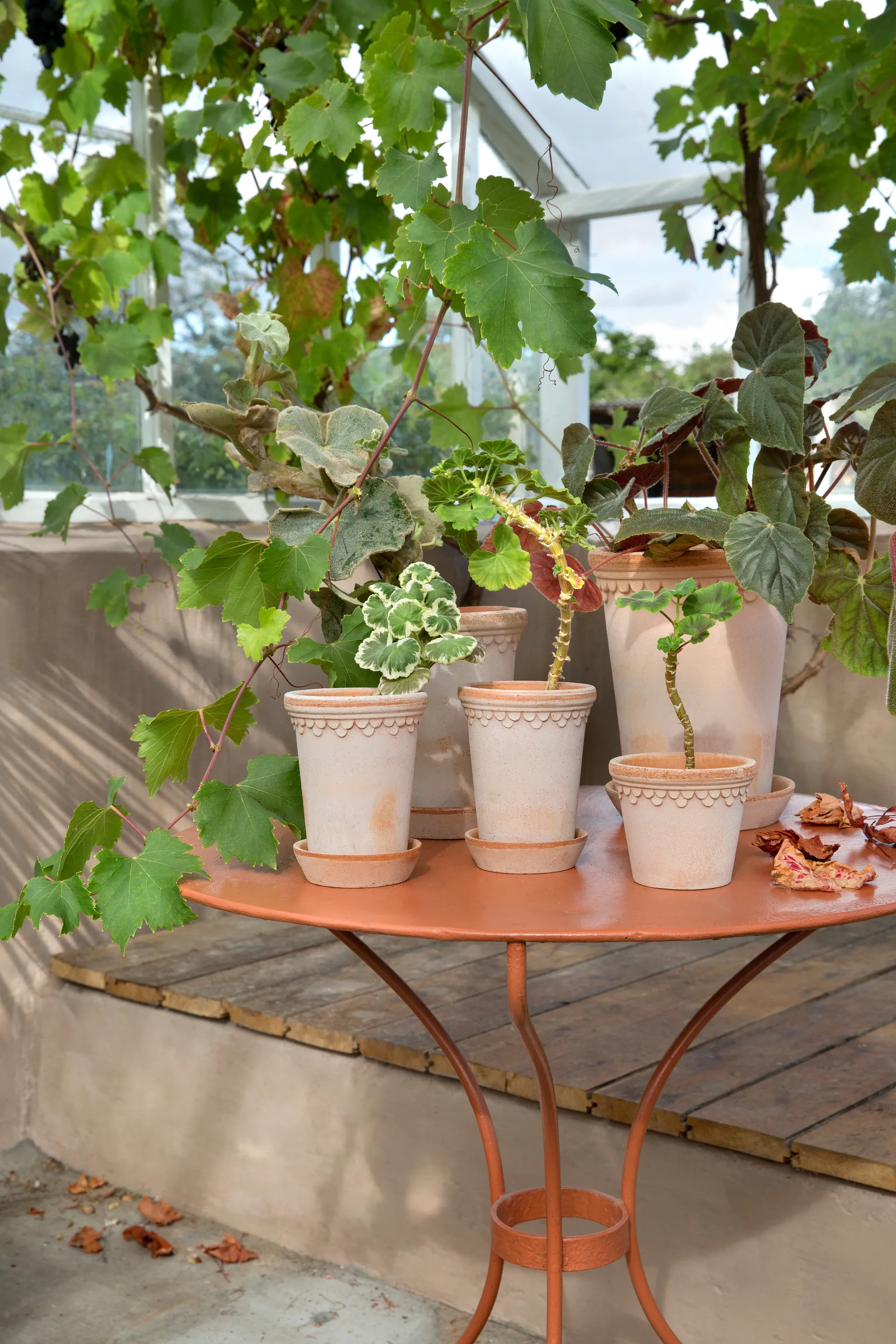 Maceta Københavner alta Ø10 cm, Rosa Bergs Potter