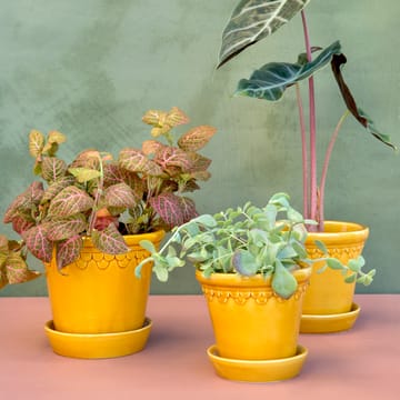 Maceta Københavner esmaltada Ø18 cm - amarillo - Bergs Potter