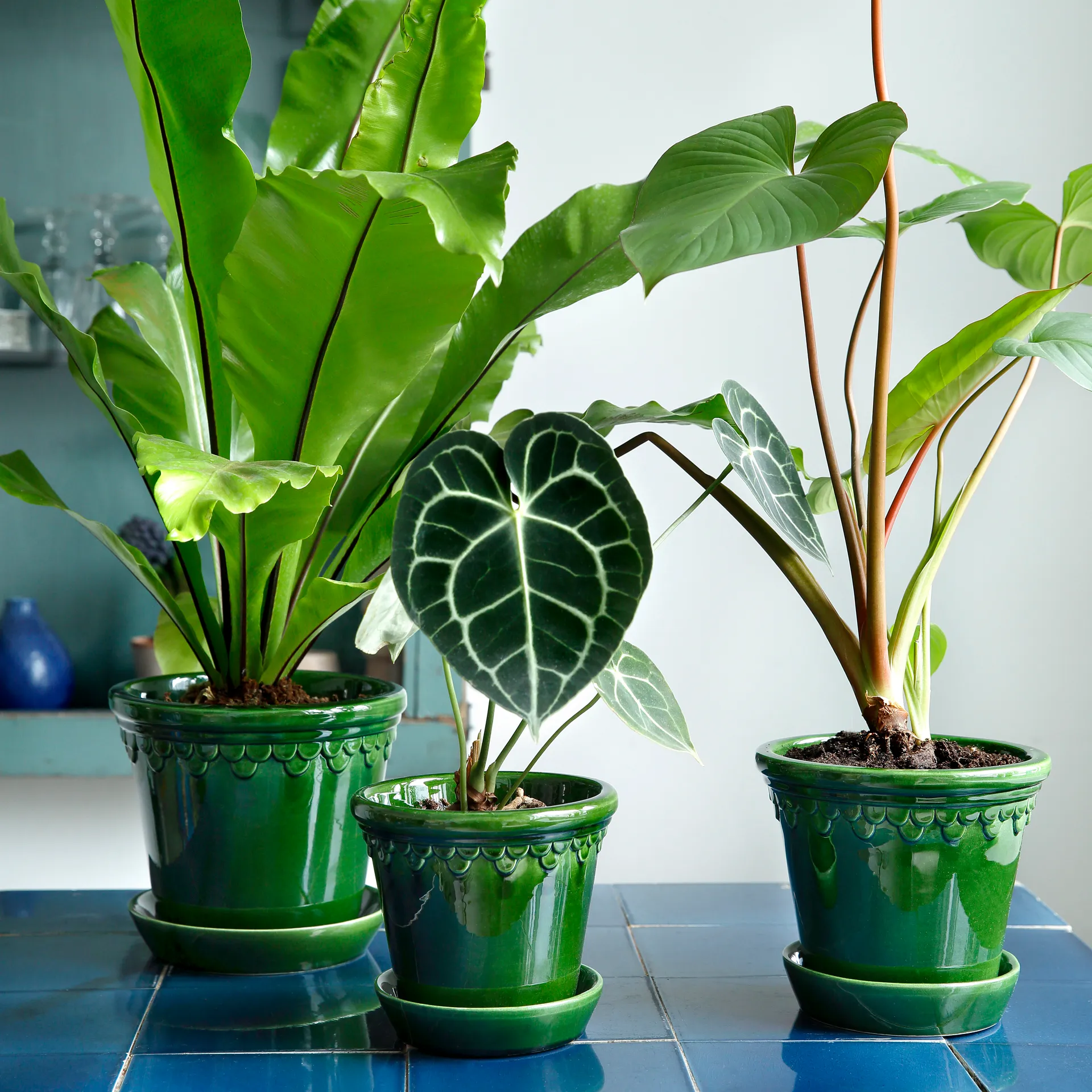 Maceta Københavner esmaltada Ø18 cm, verde Bergs Potter