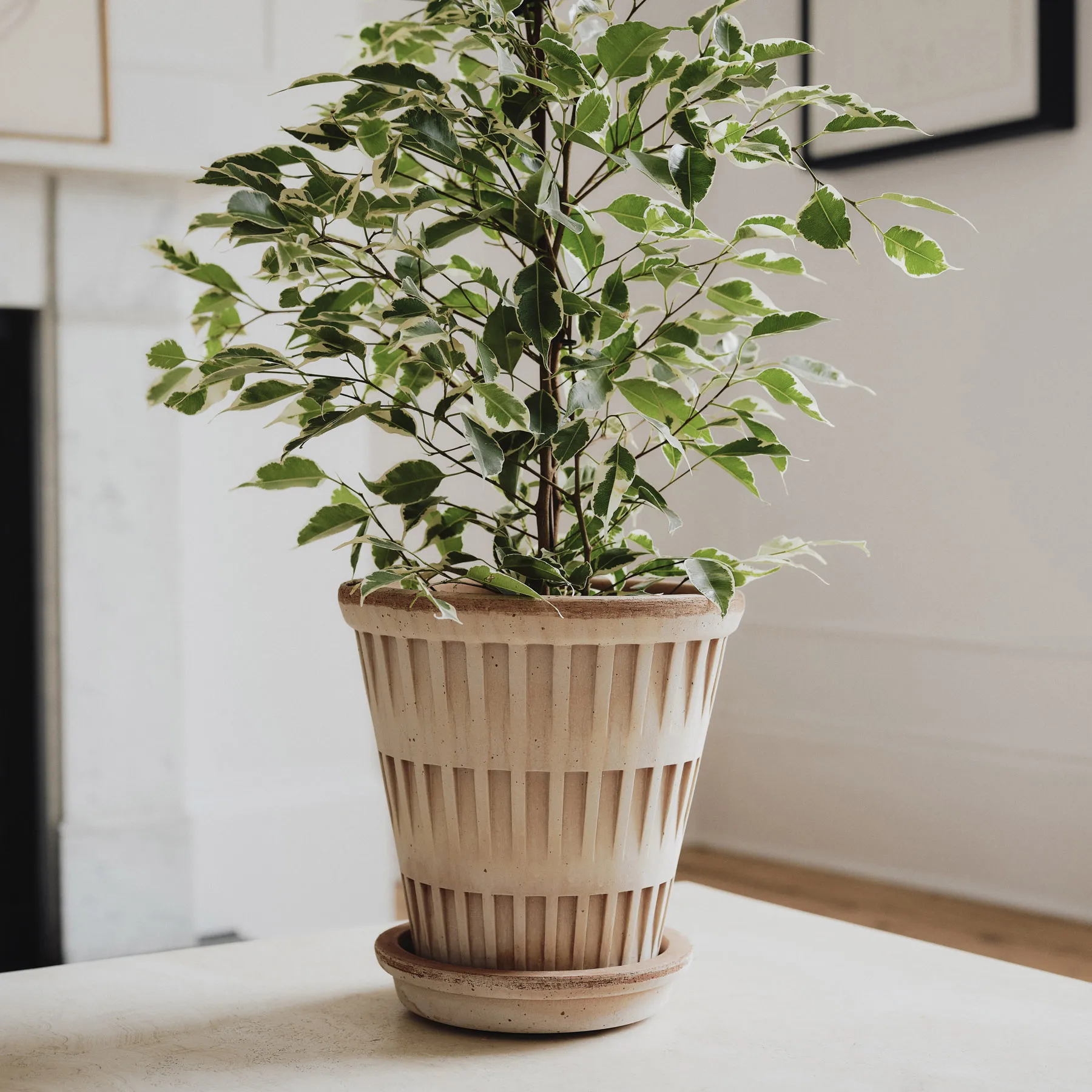 Maceta Pantheon raw, Rosa, Ø21 cm Bergs Potter