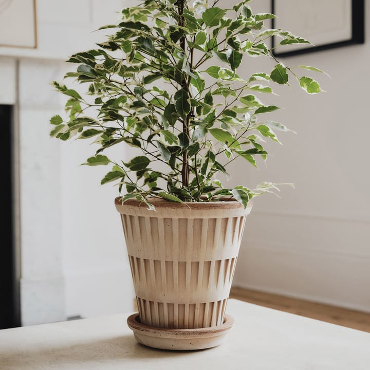 Maceta Pantheon raw , Rosa, Ø21 cm Bergs Potter