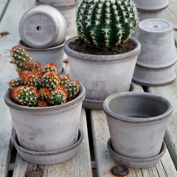 Maceta Parade Ø13 cm, gris Bergs Potter