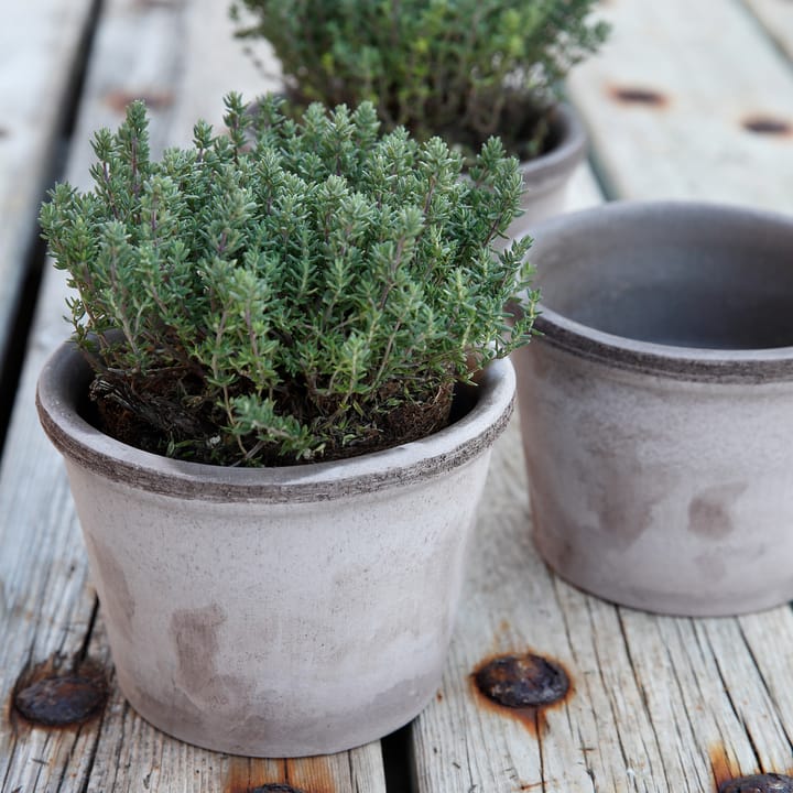 Maceta Parade Ø15 cm, gris Bergs Potter