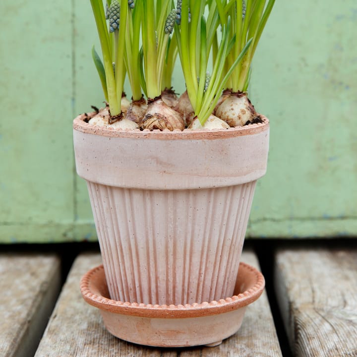 Maceta Simona 14 cm, Rosa Bergs Potter