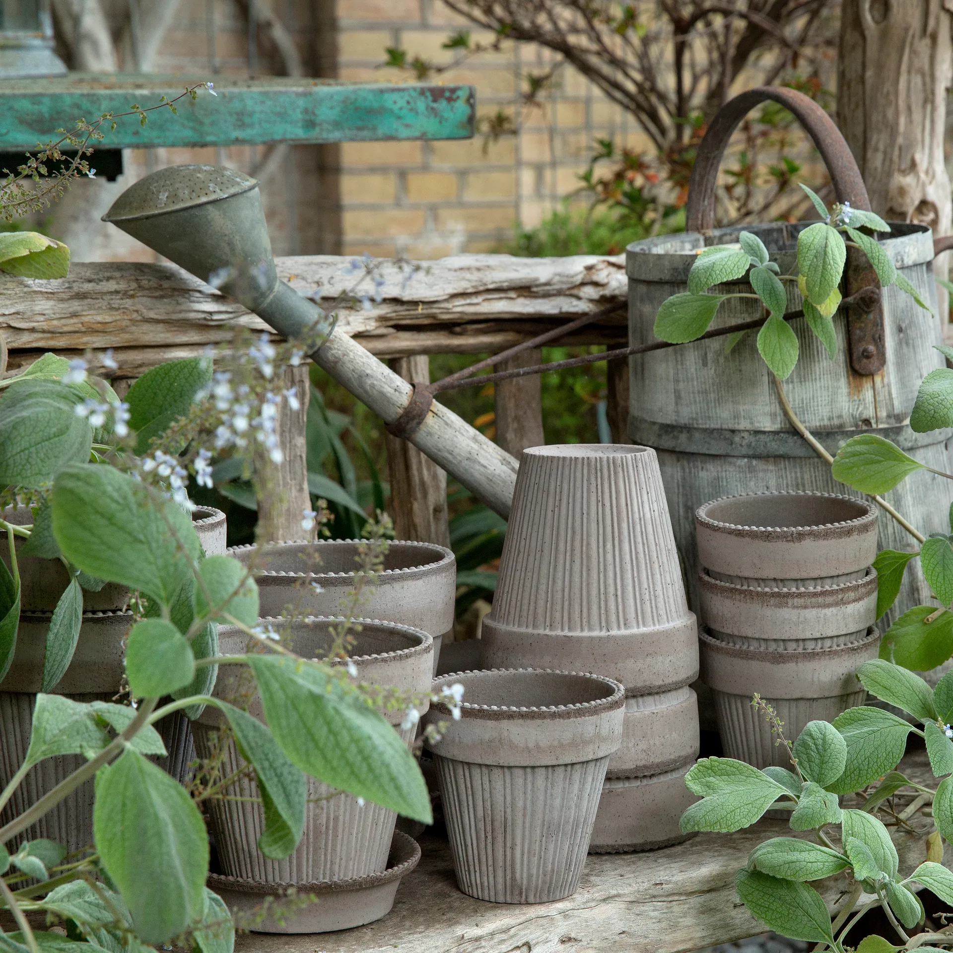 Maceta Simona 16 cm, gris Bergs Potter