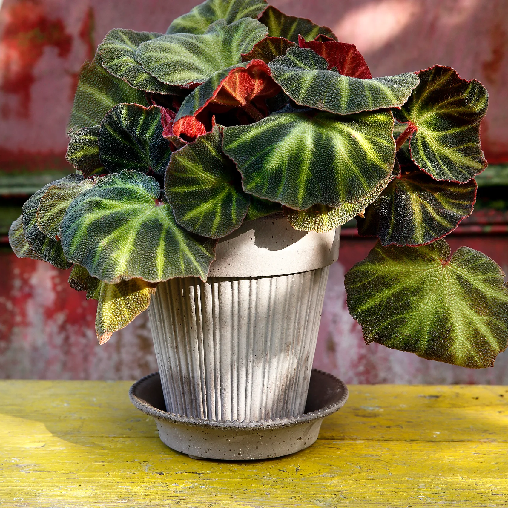 Maceta Simona Ø18 cm, gris Bergs Potter