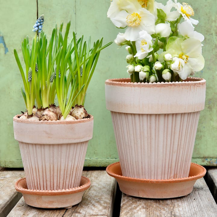 Maceta Simona Ø18 cm, Rosa Bergs Potter