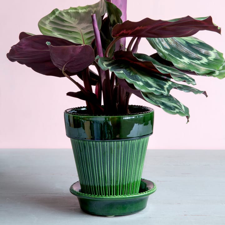 Maceta Simona esmaltada Ø16 cm, verde Bergs Potter