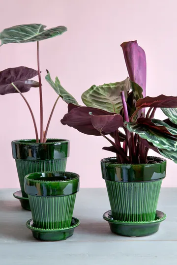 Maceta vidriada Simona Ø18 cm - Green - Bergs Potter