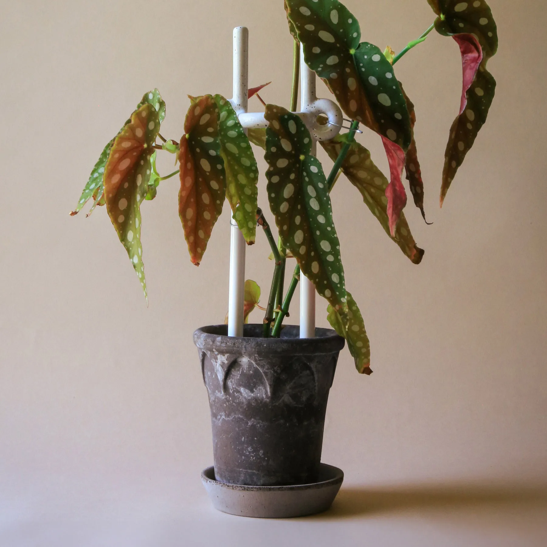 Soporte para plantas Folk Hinto, Pebble White Bergs Potter