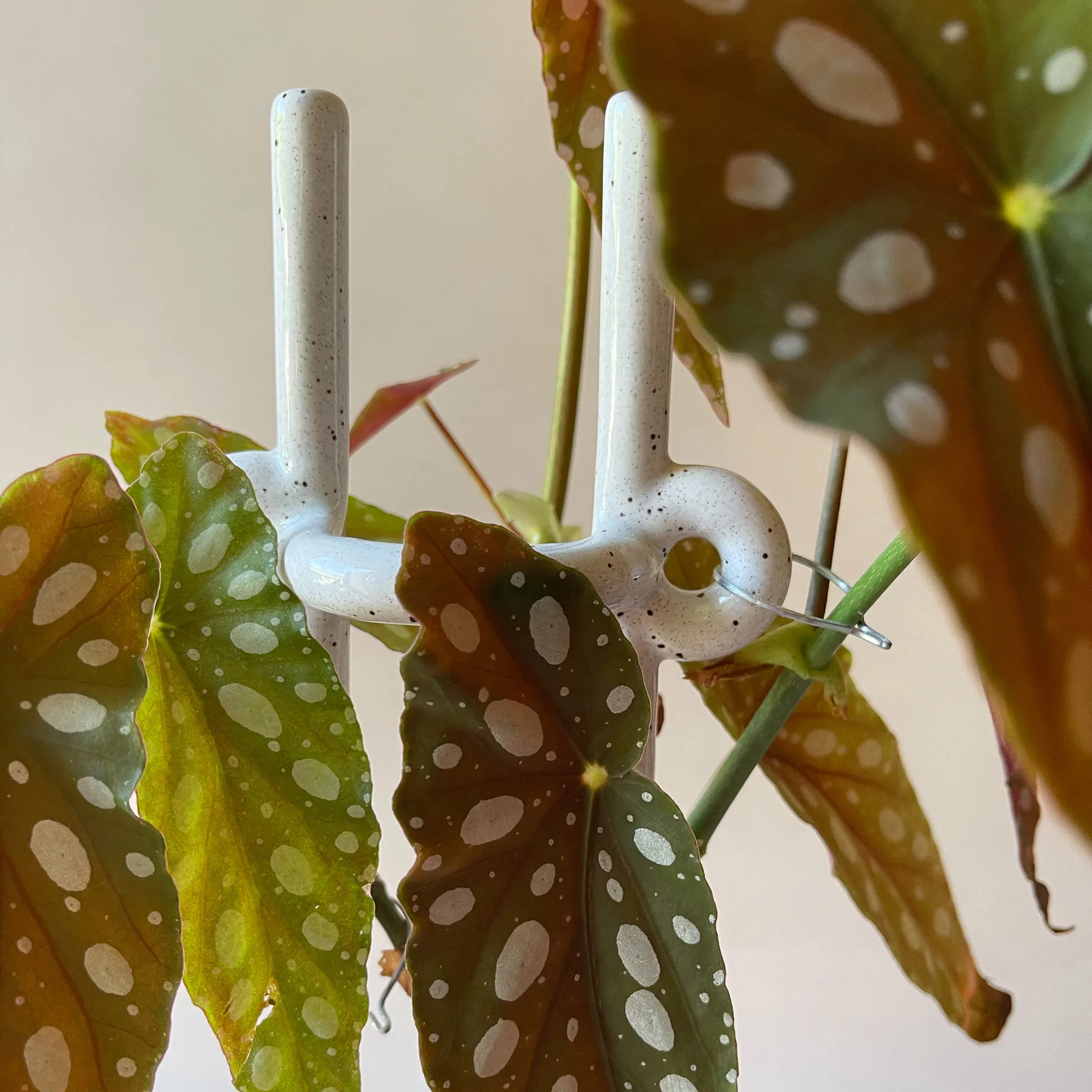 Soporte para plantas Folk Hinto, Pebble White Bergs Potter