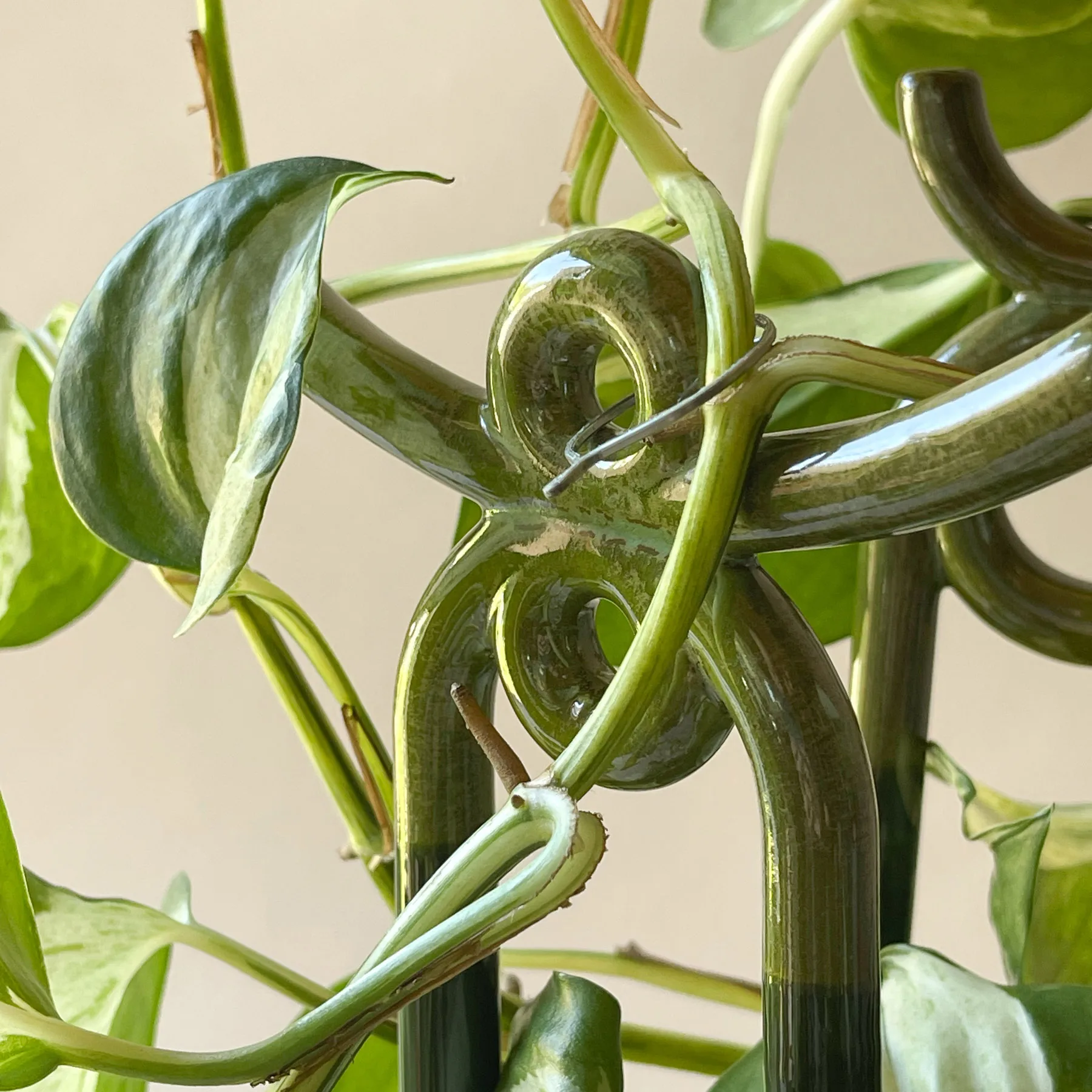 Soporte para plantas Folk Yuma, Moss green Bergs Potter